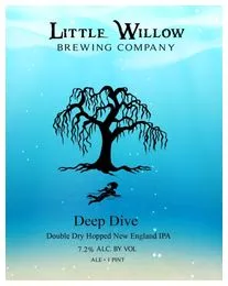 Little Willow Brewing Company Deep Dive DDH NEIPA